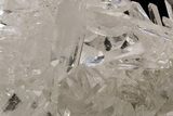 Phenomenally Clear Quartz Crystal Cluster - Brazil #212485-8